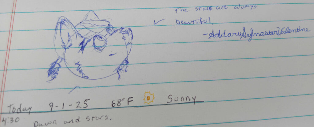 The text says, the stars are always beautiful - Addaru Sylvaster Valentine 

Valla is looking up to to the right, curious as if shes looking at the stars in calm wonder. 