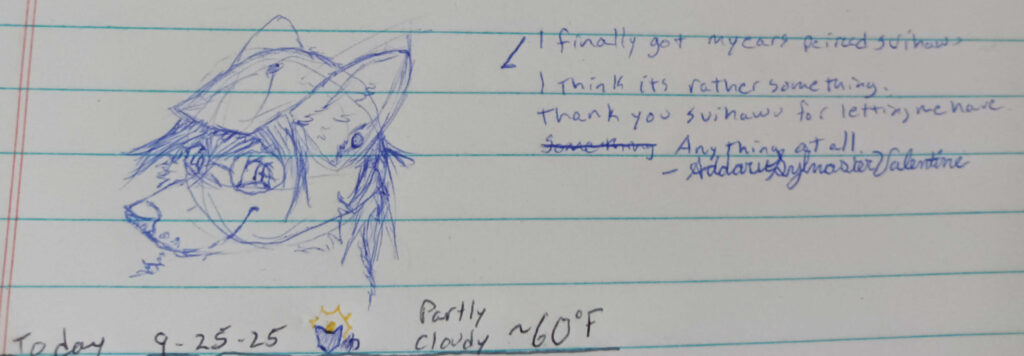 A happier sketch of Valla facing to the left. She is showing of hew new earrings that add to her hat and round glasses style. The Phrase "I finally got my ears pierced, Svihawu. I think its rather something. Thank you Svihawu for letting me have anything at all - Addaru Sylvaster Valentine" is written to the top right.