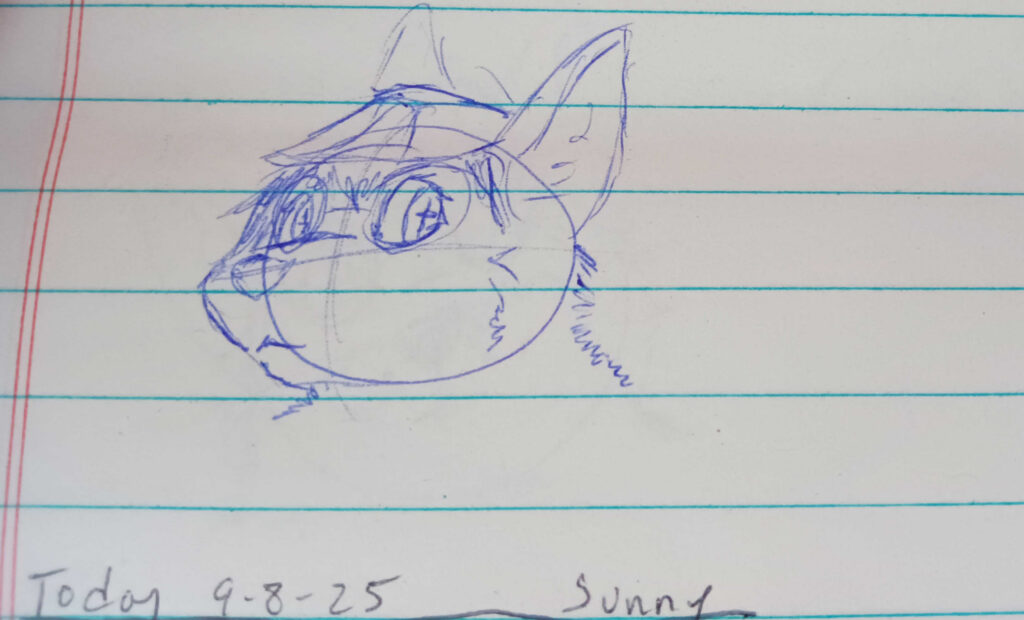 Its Valla again, well dressed and sketched in blue facing off to the left, looking shady towards the viewer.